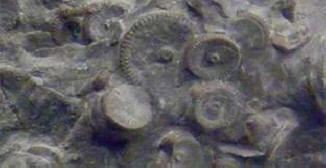 Na Kamčatki su bili vanzemaljci