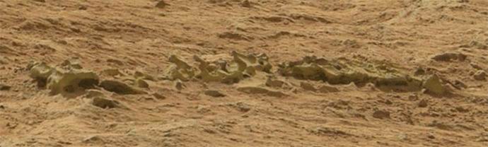 Na Marsu su otkrili kostur nepoznate životinje?