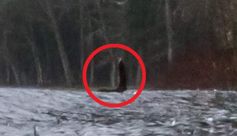 U panoramama Googlea pronađen je jasan snimak Nessie