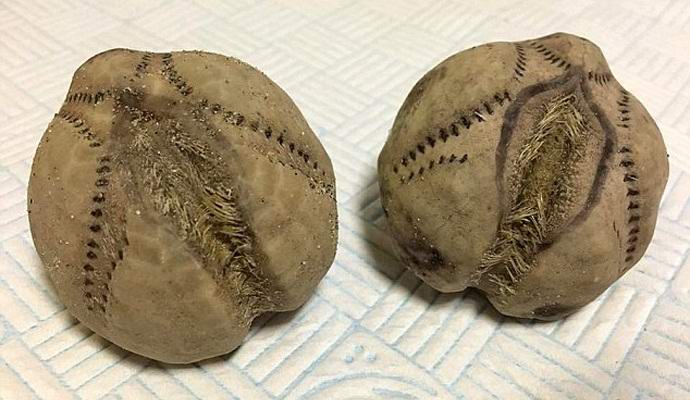 Vanzemaljska jaja pronađena na obali Engleske