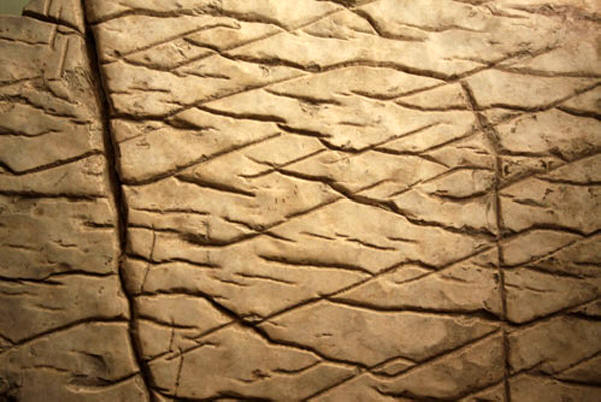 Bilo je mnogo civilizacija na Zemlji