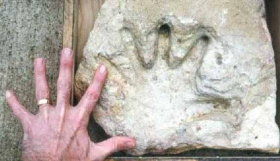 Bilo je mnogo civilizacija na Zemlji