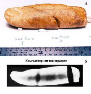 Bilo je mnogo civilizacija na Zemlji