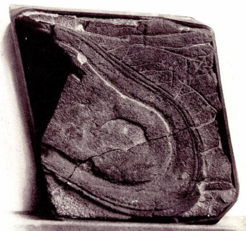 Bilo je mnogo civilizacija na Zemlji