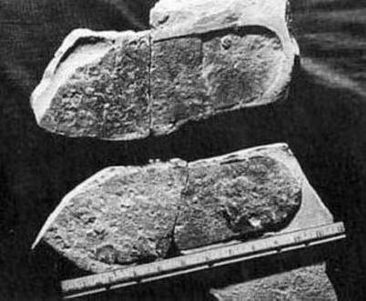 Bilo je mnogo civilizacija na Zemlji