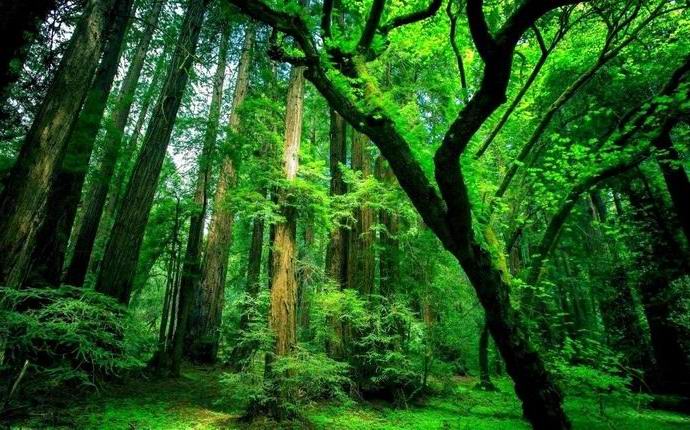 Na Zemlji nisu pronašli mjesta koja su netaknuta civilizacijom