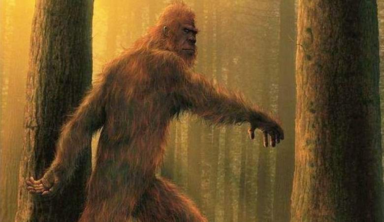 Pronađen Yeti koji je nedavno napustio tragove u Teksasu