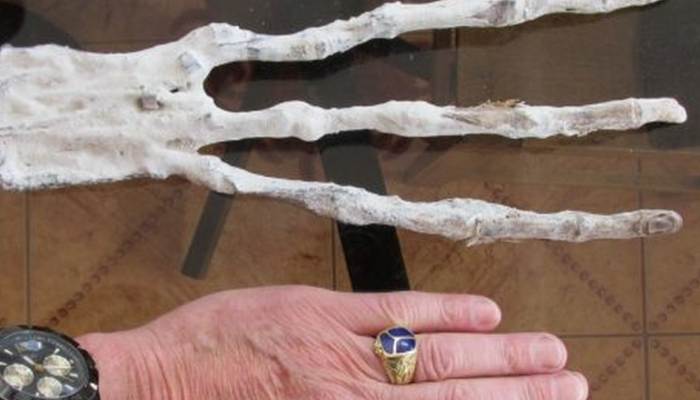 Pronašli ste vanzemaljsku ruku?