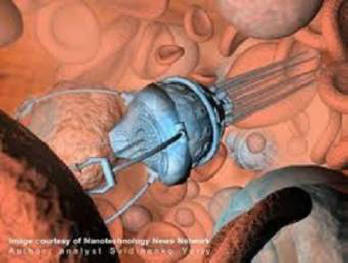 Nanoroboti stvoreni na osnovu DNK ubacivani su u žive žohare