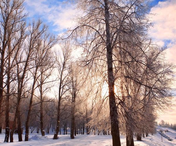 Narodni predznaci i običaji 2. decembra (Dan proroka Obadije) 