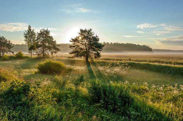 narodni znakovi za juni 