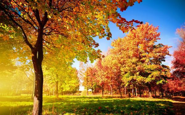 Znakovi za svaki dan septembra 