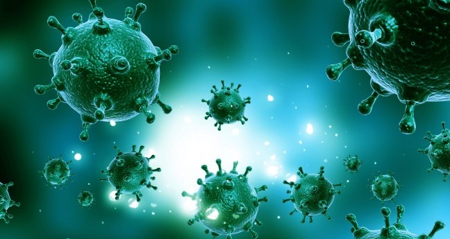 Pravi majstori Zemlje nisu mi