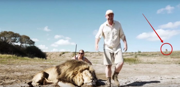 Ne budite se usudili ili Kako je priroda kažnjavala braonce