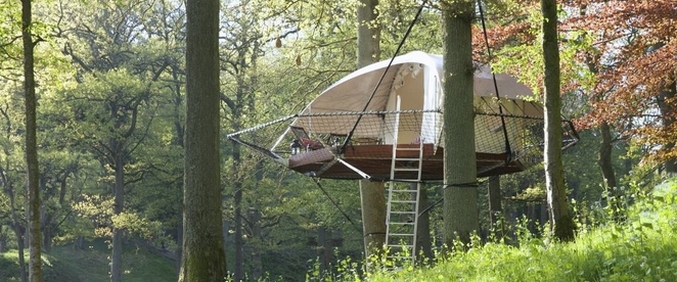 Želite li živjeti na drvetu?