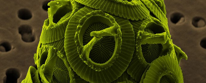 Nešto čudno i zastrašujuće