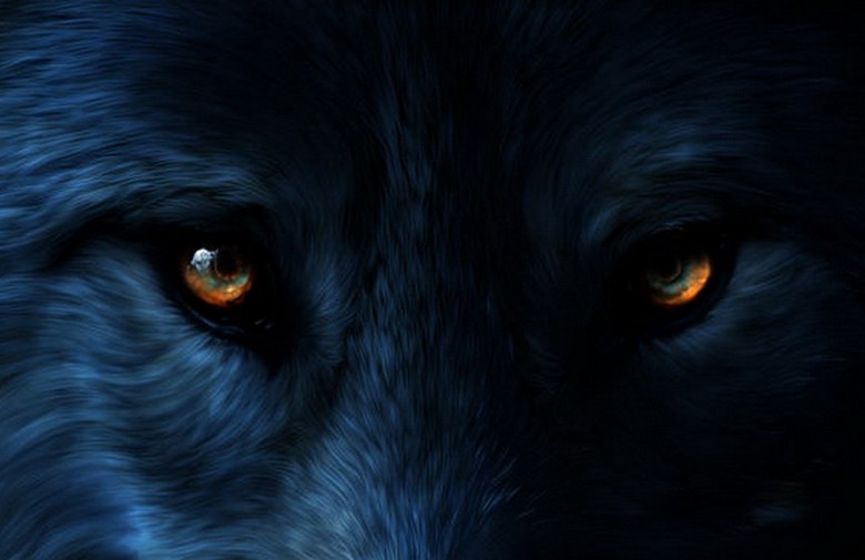 Nečovjek sa jezivim žutim očima pojavio se u Oklahomi.