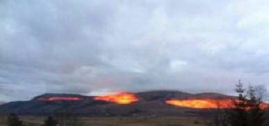 Neobičan fenomen u Bosni i Hercegovini