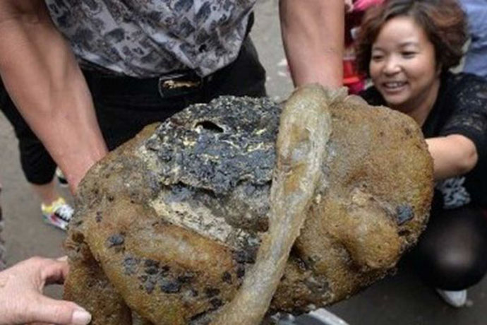 Neidentifikovano stvorenje uhvaćeno u Kini