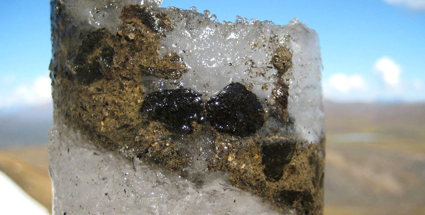 Nekoliko drevnih virusa otkriveno je u glečeru starom 15 000 godina 