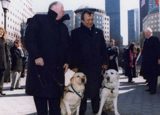 životinje 21 Neki očigledni dokazi da životinje imaju dušu