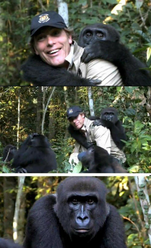 životinje 111 Neki očigledni dokazi da životinje imaju dušu