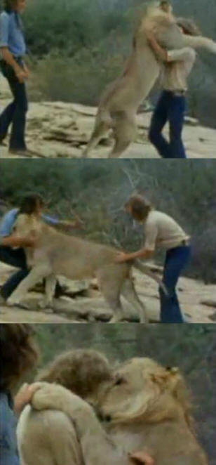 životinje 41 Neki očigledni dokazi da životinje imaju dušu