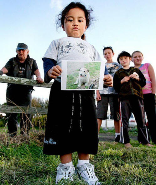 životinje 71 Neki očigledni dokazi da životinje imaju dušu