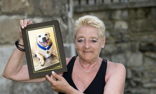 životinje 101 Neki očigledni dokazi da životinje imaju dušu