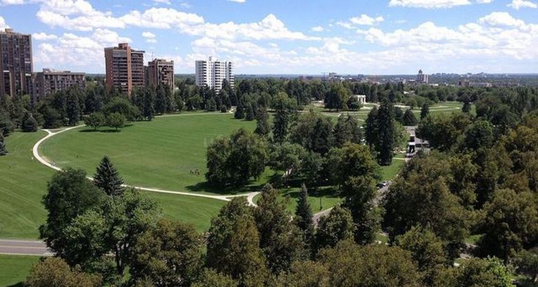 Prestupnik mrtvog parka