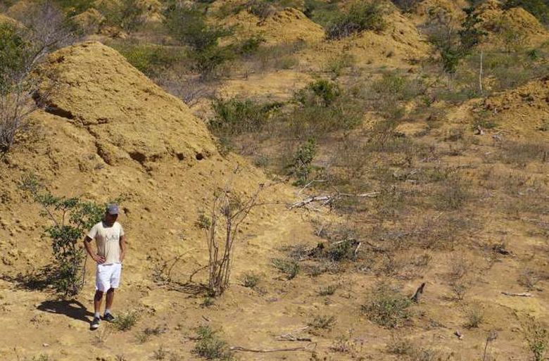 Termin koji je pronađen stariji od piramida u Gizi