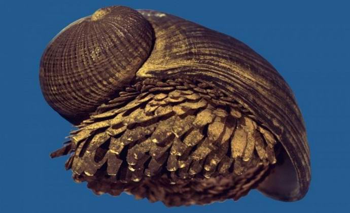 Pronašao puža sa metalnom školjkom