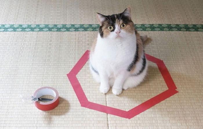 Nacrtani krug je dobar, ali kutija je bolja.