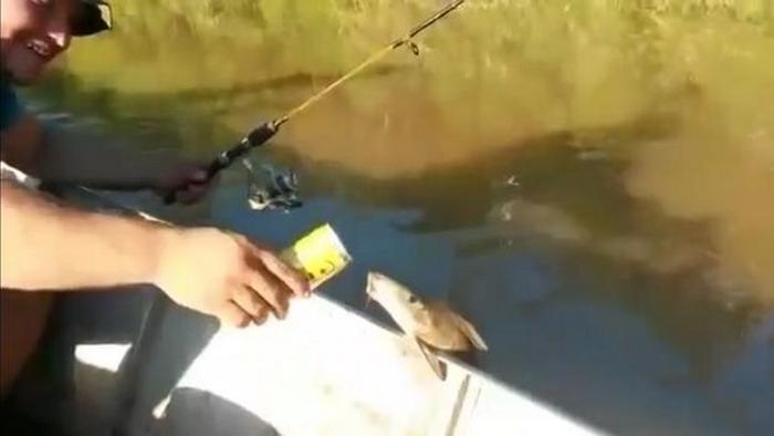 Ispada da čak i riba voli pivo.