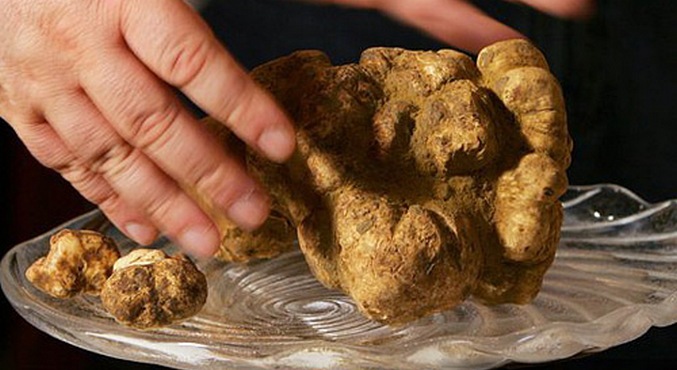 Iznenađuju nas i oduševljavaju.