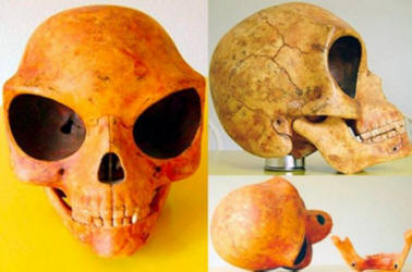 Ostaci vanzemaljaca na Zemlji