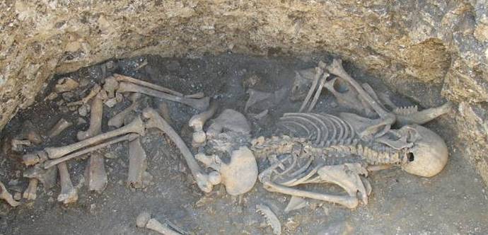 U Engleskoj su otkriveni ostaci čudnih frankenštajnskih životinja.