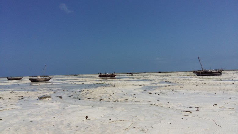 Voda je napustila obalu ostrva Key Largo na Floridi