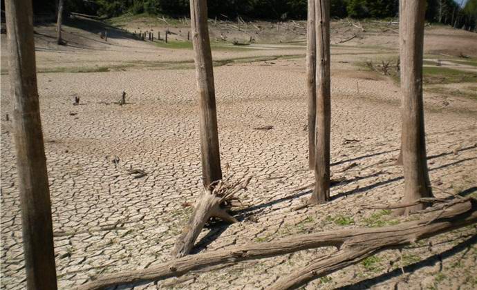 Jezero mrtvih stabala u blizini Kazana