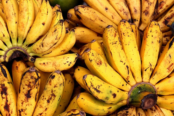 Prezrele banane mogu biti opasne - rekli su ljekari