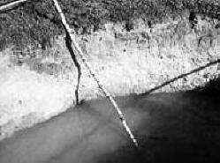 Sankt Peterburg ufolog o vanzemaljcima koji kradu tlo