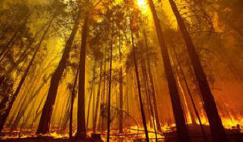 Planeta gubi svoju zelenu boju