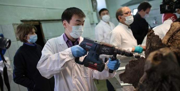 Mamuti će ponovo lutati severom Rusije