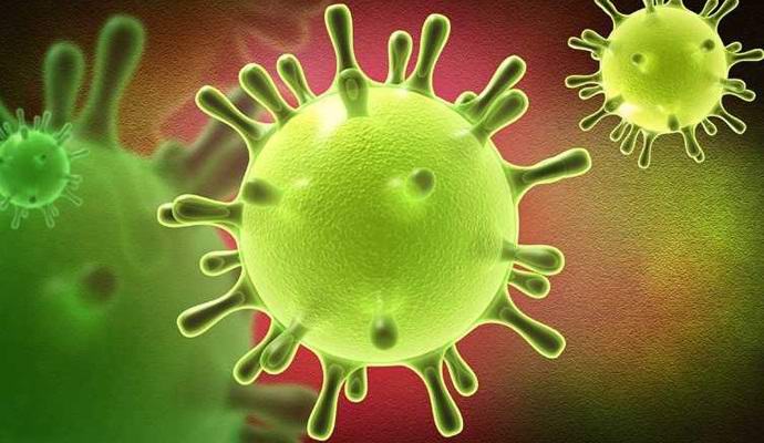 Nepobjediva smrtonosna gljiva širi se Zemljom