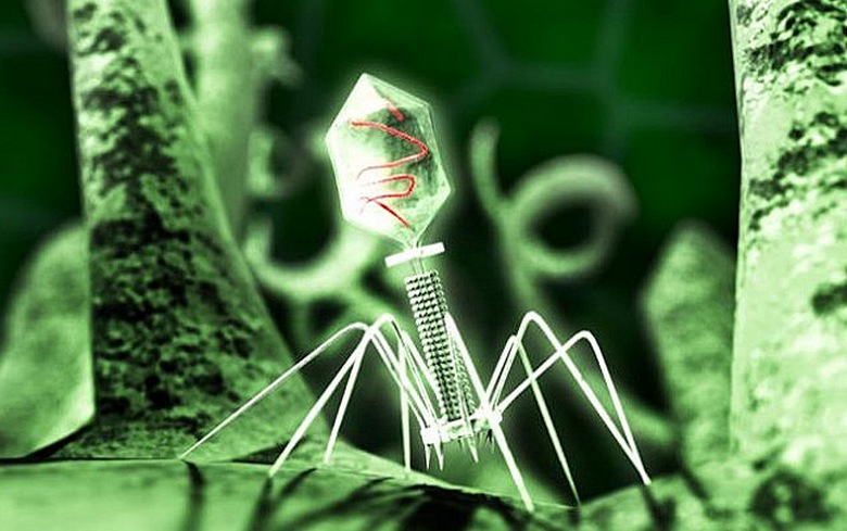 Poraziti rak nije lako, čak ni virusom.