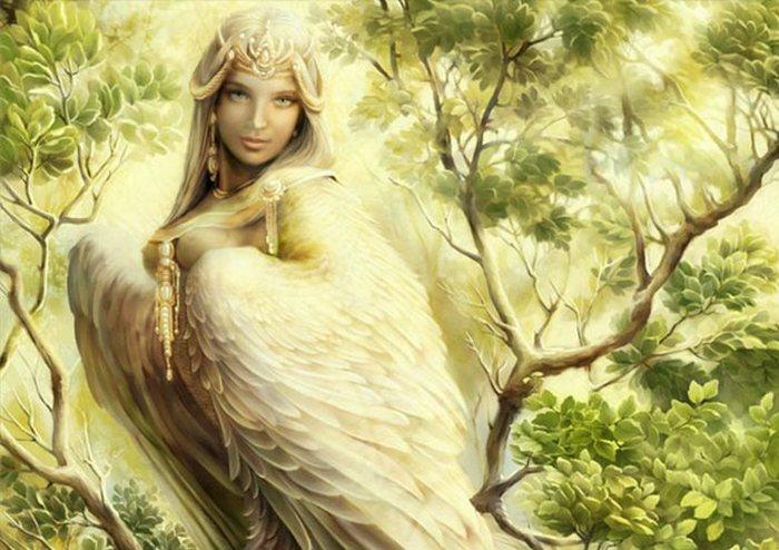 Zašto anđeli čuvari ne spašavaju sve?