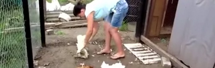 Zašto se Chupacabra pojavljuje kao niotkuda?