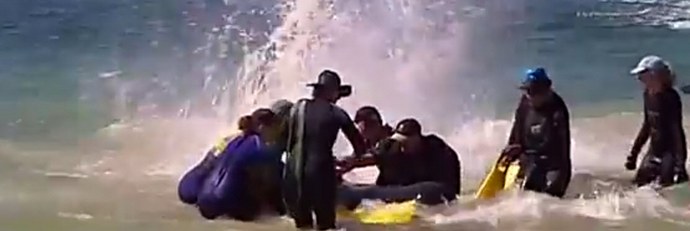 Zašto se delfini masovno peru na kopnu?