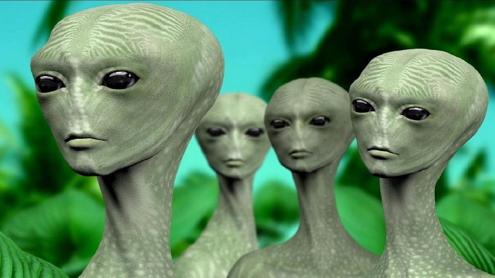 Zašto ljudi obožavaju gmazove?