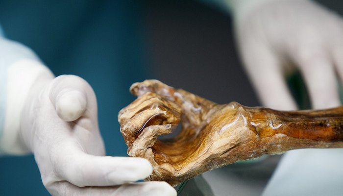 Zašto je stanovnik Jekaterinburga mumificirao?